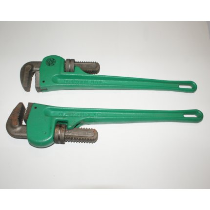 Mỏ Lết răng sư tử