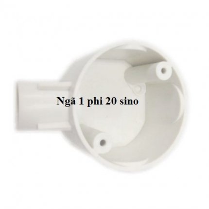 Ngã 1 phi 20 sino