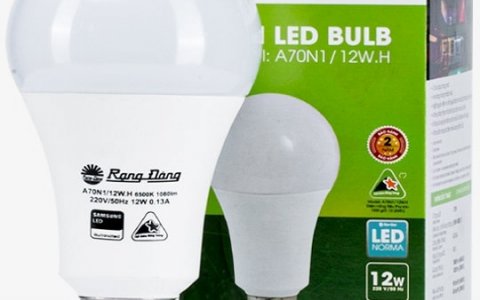 Bóng đèn LED tròn 100w: Có thật không và dùng cho chiếu sáng gì?