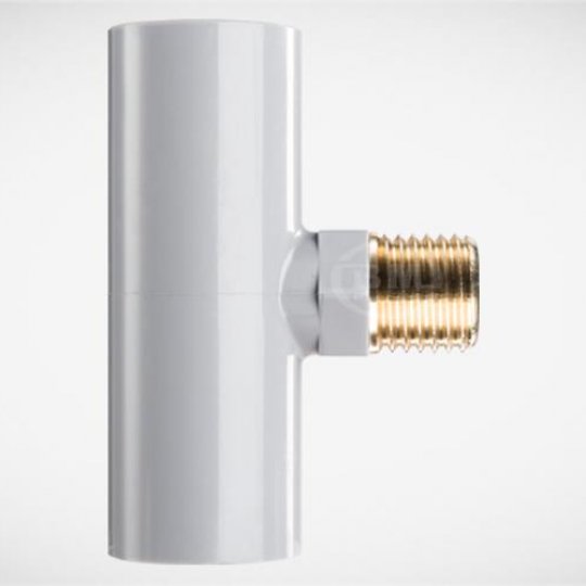 T Ren Ngoài Thau BM