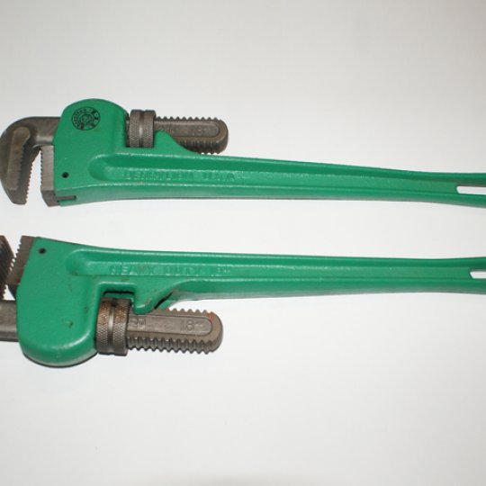 Mỏ Lết răng sư tử