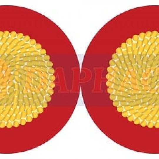 DÂY ĐÔI MỀM VCmd - 0.6/1kV daphaco