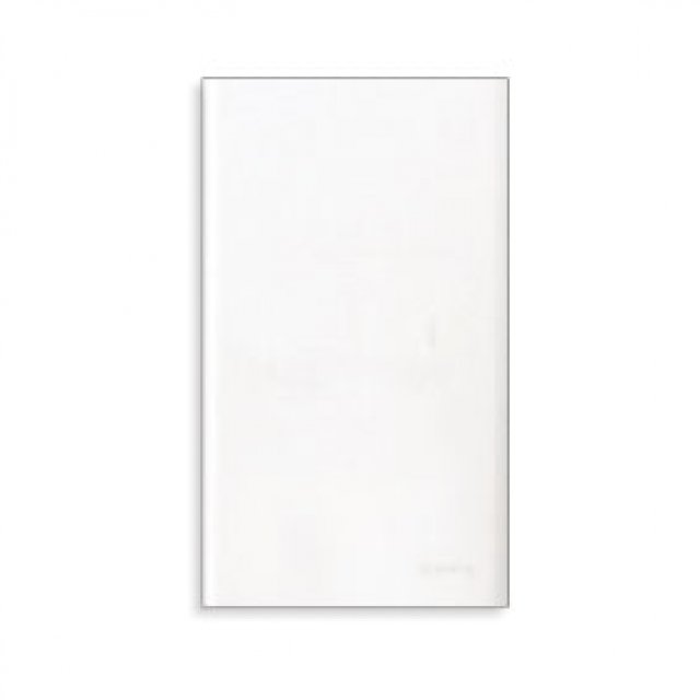 Mặt kín đơn Panasonic WEV68910SW