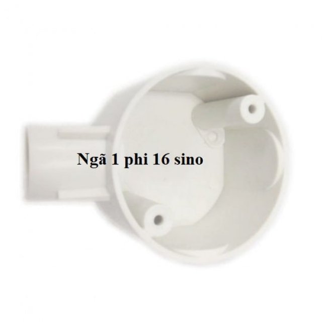 Ngả 1 phi 16 sino